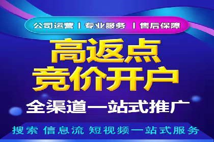 谷歌SEM广告投放的ROI优化：一家科技公司的成功经验